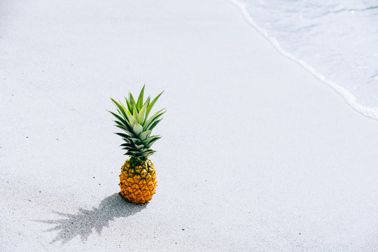 Pineapple with bright sun