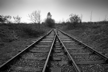 Railroad tracks merging into one