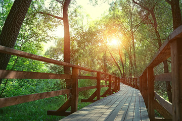 wooden ecological trail in Park reserve. Wooden track in sunny summer forest, walkway in Moscow park "Serebryany Bor". Beautiful wooden road leading to forest. Wooden nature trail, ecological path.