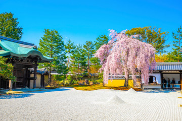 京都・春の高台寺
