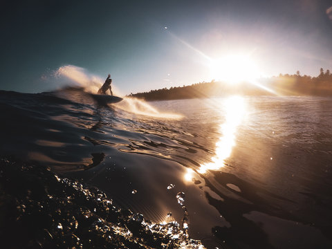 Cutback