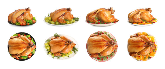 Set of delicious roasted turkey on plates against white background, top view