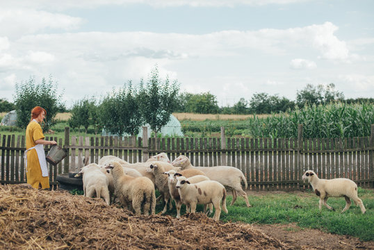 Life Is Better on the Farm