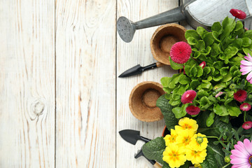 Flat lay composition with gardening equipment and flowers on wooden background, space for text