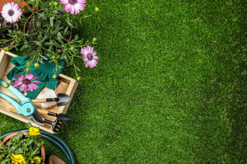 Flat lay composition with gardening equipment and flowers on green grass, space for text