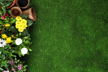 Flat lay composition with gardening equipment and flowers on green grass, space for text