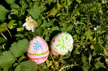 Two painted easter eggs in natural vegetation with small flowers.