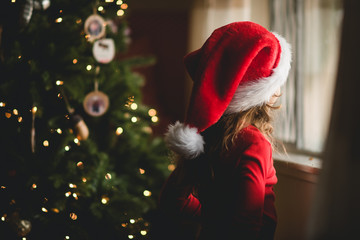 Looking Out the Window