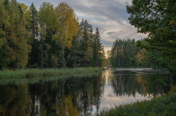 Fototapeta na wymiar River landscape! Farnebofjarden national park in Sweden.