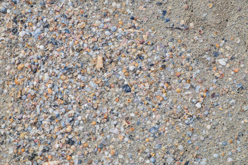 the beach