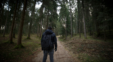 Young man with a backpack is walking along the forest path.