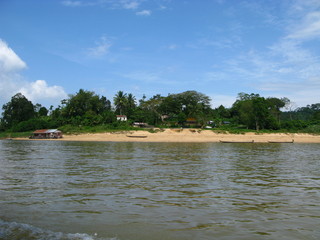 Taman Negara, Rain forest, Malaysia