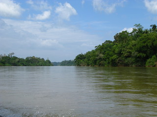 Taman Negara, Rain forest, Malaysia