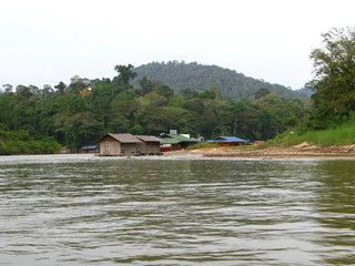 Taman Negara, Rain forest, Malaysia
