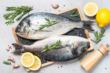 Fresh fish dorado on blue background.