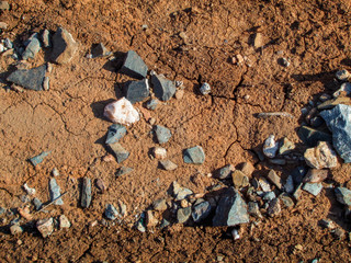 Brown soil background. Ground and stones. Natural background. Stony soil