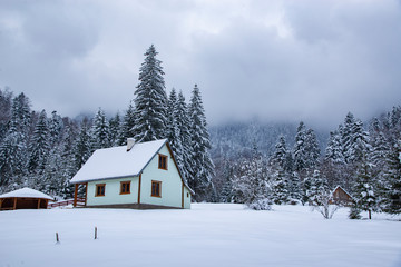 House covered in snow surrounded by frozen forest