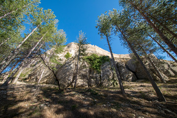 Fototapeta na wymiar Pine forests around the town of Morella