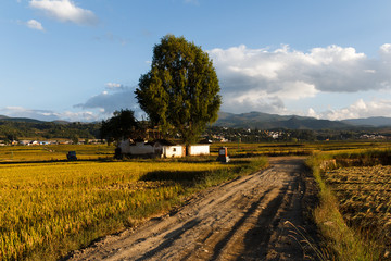 Fototapeta premium Beautiful countryside and fields in Autumn In y]Yunnan