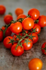 A branch of cherry tomatoes