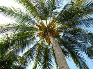 Langkawi, Malaysia, Andaman Sea 