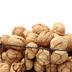 walnuts on white background 