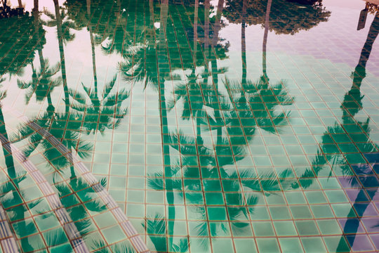 Palm trees reflected in a pool - Powered by Adobe