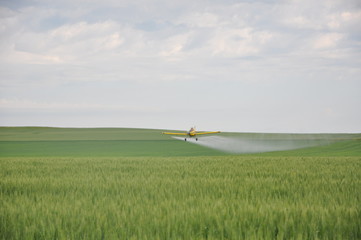 Cropdusting