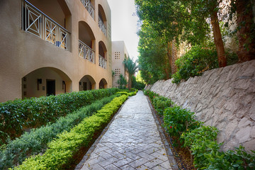 green hotel garden in Egypt