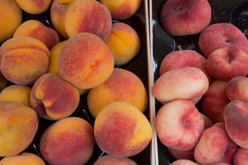 Fruit and Vegetables Tuscany Italy
