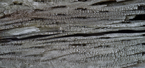 wood background texture, abstract,