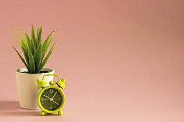 The alarm clock in green shows the time of 10 o'clock in the afternoon, a notebook with white sheets is next, an office flower,copy space. Working time, time to work, Office background