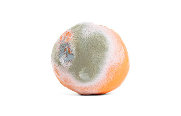 Rotten orange