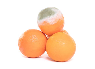Rotten orange