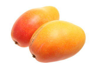mango fruit isolated on white background