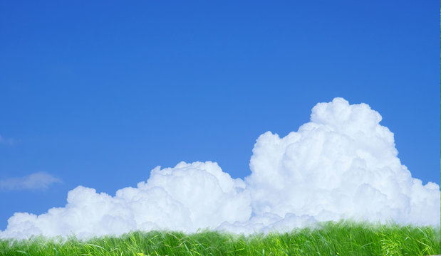 夏の雲（積乱雲）と草原