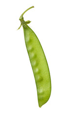 Snow peas isolated on white background