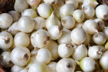 White onions in a wooden basket. The spring avitaminosis