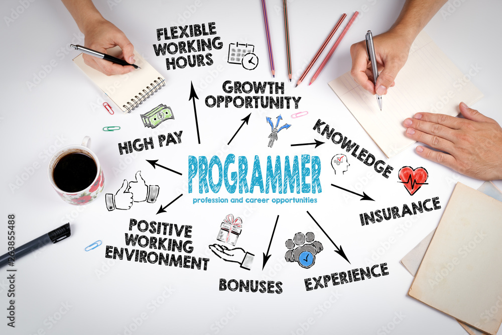 Sticker programmer profession and career opportunities. chart with keywords and icons. the meeting at the wh