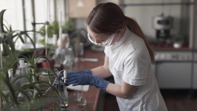 Biological Pesticide Female Scientist on Workbench Cheking Liquid in Laboratory Glass Wearing Protective Glasses and Gloves and Typing Results. Light Camera Movement