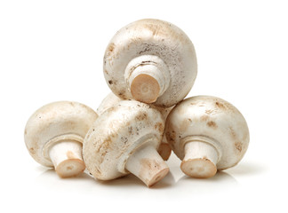 White mushrooms on white background