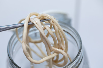 Ascariasis is a disease caused by the parasitic roundworm Ascaris lumbricoides for education in...