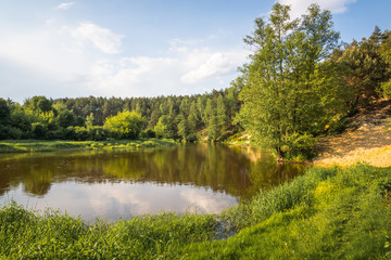 Fototapeta na wymiar Pilica river near Sulejow, Lodzkie, Poland