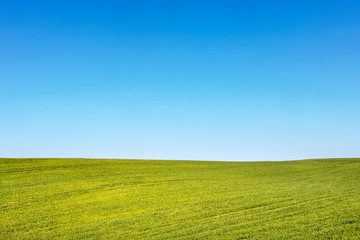Minimalist shot of spring or summer landscape