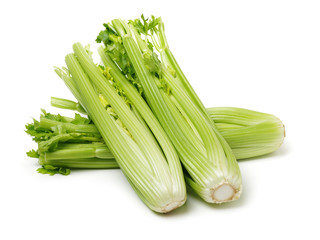 celery on a white background 