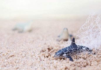 Baby dolphin tangled in a fishing net. Environmentalism and plastic awareness concept background.