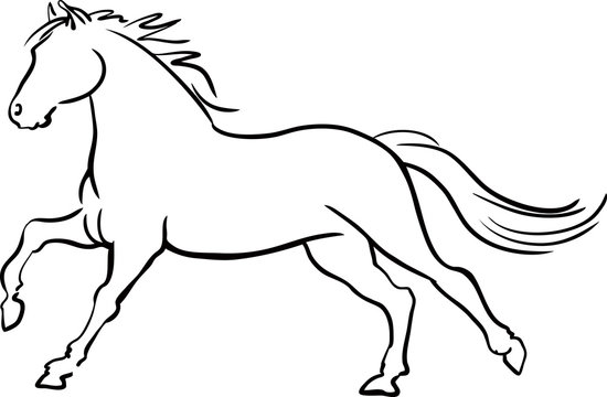 Horse Logo. Wild Animals. Vector illustration. Icon