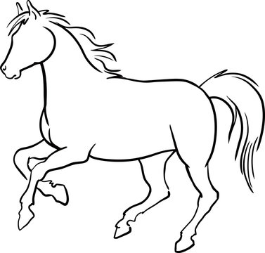 Running horse . Vector illustration
