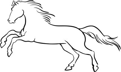 Vector line sketch horse