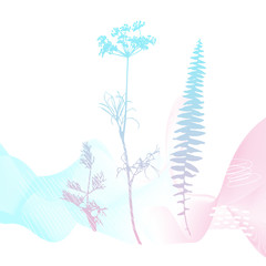 Abstract floral botanical background. Realistic herbs, flowers, plants in pastel colors with doodles , texture and gradient ribbon in pastel colors on white background.